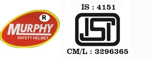 Web Development Company